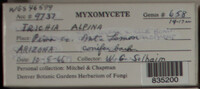 Image Associated With the Occurence